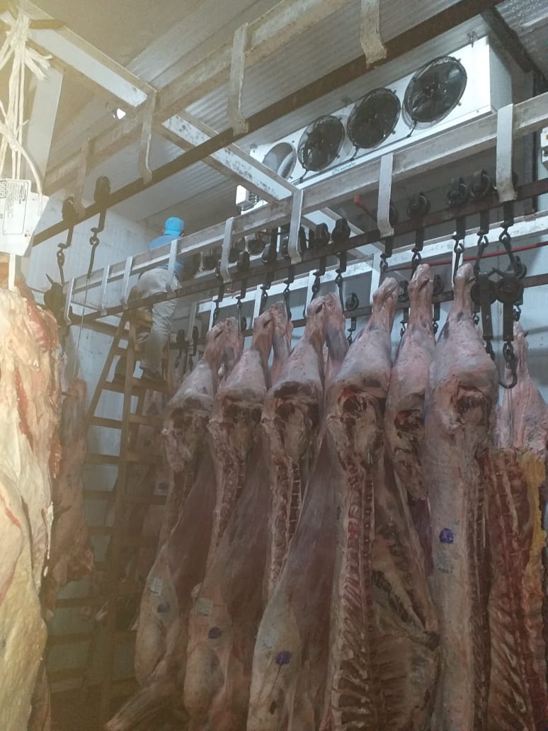 Camara frigorifica con carne adentro